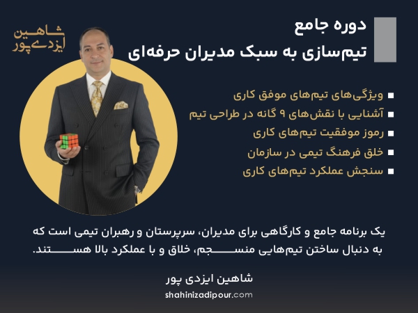 دوره جامع تیم سازی به سبک مدیران حرفه ای- شاهین ایزدی پور